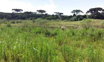 Imagem 4: Sítio à venda, 70020 m² por R$ 799.900,00 - Serra Grande - Gramado/RS