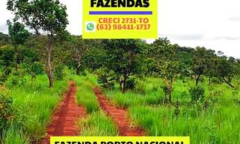 Imagem 4: Fazenda em Luzimangues