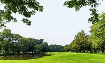 Imagem 7: Lançamento. Áreas de 20.000m² por Apenas 22.010 + Parcelas