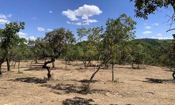 Imagem 4: Chácara 9000m², Energia, Terra Boa, Vista Maravilhosa, Arborizada, 4km de Aragoiânia