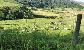 Imagem 2: Excelente oportunidade em Rio das Flores, interior do Rio de Janeiro!