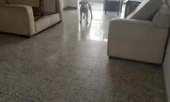 Imagem: 03 quartos, nascente, infraestrutura, Parque