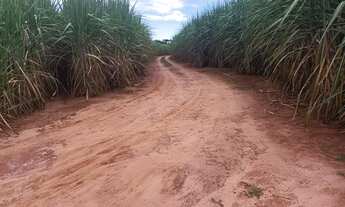 Imagem 6: Fazenda em São Simão