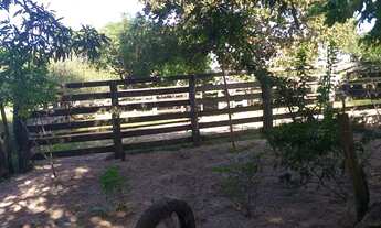 Imagem 3: FAZENDA BOA ESPERANÇA A VENDA