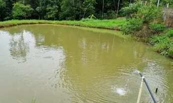 Imagem 5: Vende-se uma excelente chácara de 7 hectares top