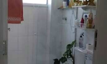 Imagem 7: Vale do Cotinguiba 57999