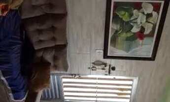 Imagem 7: Casa 2 dorms, Caicara, R$ 350 mil