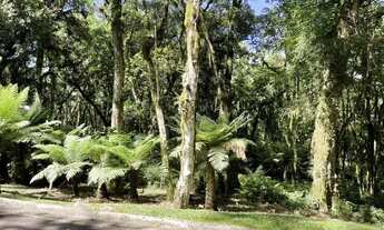 Imagem 4: TERRENO NO CONDOMINIO "O BOSQUE" EM GRAMADO&quot