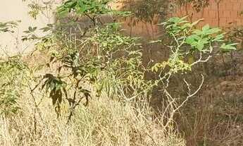 Imagem 4: Vendo ou troco por outro imóvel no jardim Roriz qd 1 a3,vila militar,ou vila de Fátima