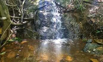 Imagem 3: Chácara em Cromínia