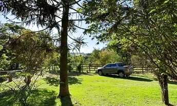 Imagem 16: Chácara 5000M² no Município de Cunha-Sp Oportunidade