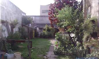 Imagem 3: TERRENO - CHÁCARA SANTO ANTONIO - SP