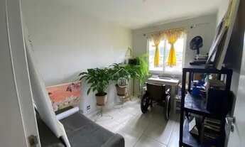 Imagem 6: Venda de apartamento novo 07