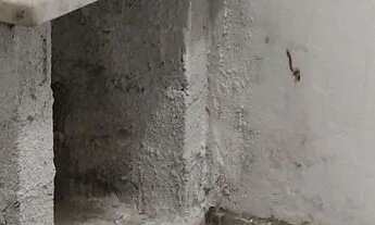 Imagem 5: Alugo Casa com 2 dormitórios