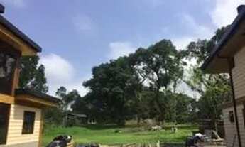 Imagem 6: Terreno Prainha Ponta do Ubá