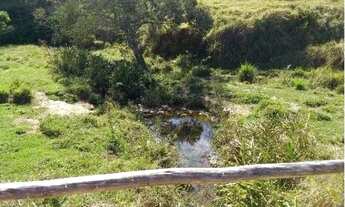 Imagem 5: Fazenda - Fazenda Cachoeira - Ilicínea