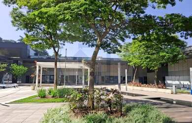 Imagem 12: Loja para Venda em Rio de Janeiro, Santo Cristo, 1 banheiro, 1 vaga