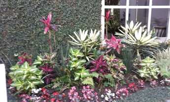 Imagem 2: Apartamento com 4 dormitórios, 170 m² - venda por R$ 550.000,00 ou aluguel por R$ 3.200,00