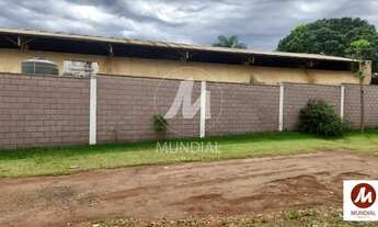 Imagem: Salão/Galpão (salão - térreo), cozinha