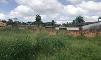 Imagem 6: Terreno no Conj. Edgar Pinheiro