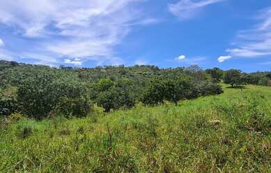 Imagem 6: Chácara em Cromínia