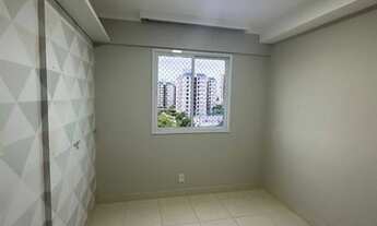 Imagem 5: Arboris jabotiana