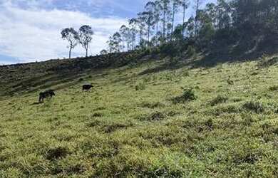 Imagem 3: Lotes á venda com ótima topografia e vista exclusiva para lago