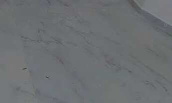 Imagem 5: Apartamento Apartamento com 2 dormitórios