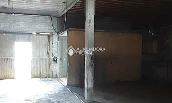 Imagem 4: NOVO HAMBURGO - Galpão/Depósito/Armazém - Rondônia