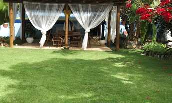 Imagem 4: Alugel de casa com grande área externa