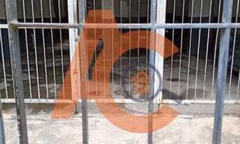 Imagem 4: Amplo apartamento de dois quartos com dependência completa em Irajá