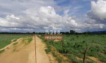 Imagem: Fazenda em Araguaçu-TO. Área Total 125