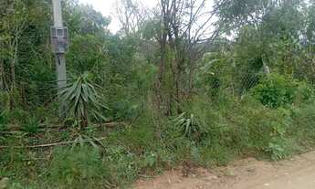 Imagem 2: Chacrinha em Mandirituba