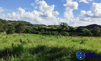 Imagem 2: Fazenda à Venda em Arenópolis GO