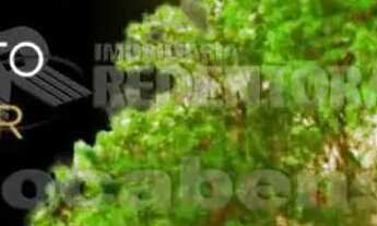 Imagem 4: Damha Galeria - Terreno com 1.779,57m²