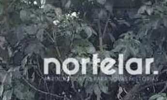 Imagem 6: Terreno à venda, 430 m² por R$ 1.100.000,00 - Vila Mangalot - São Paulo/SP