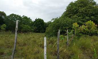 Imagem: Sítio praia do abais excelente localização