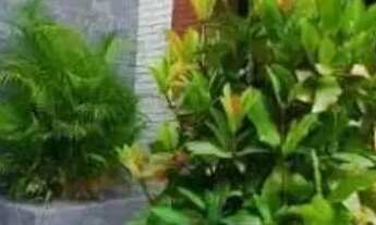 Imagem 3: CASA ASSOBRADADA - POMPÉIA - SP