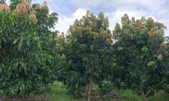 Imagem 3: Sítio com 3 quartos à venda, 280000 m² por R$ 300.000 - Zona Rural - Rio Pardo de Minas/MG