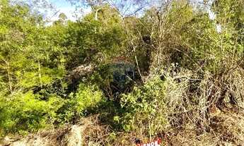 Imagem 6: TERRENO LOTE 03 CENTRO