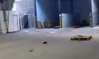 Imagem 5: Excelente galpao São Cristóvão