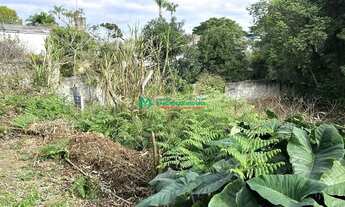 Imagem 5: Jardim Santa Paula