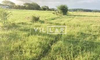 Imagem 3: SITIO EM VIAMÃO