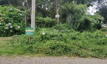 Imagem 3: TERRENO NO BAIRRO ALPES VERDES EM CANELA