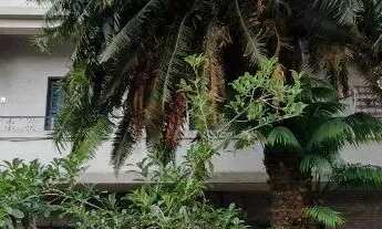 Imagem: Apartamento para locação em São Paulo-SP