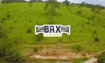 Imagem: Vende se linda chácara com 68 mil metros