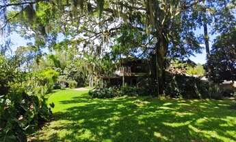 Imagem 7: Sítio com 8mil m² à venda no Ratones