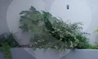 Imagem 2: Casa com 3 quartos para locação em Jardim Regina - SP