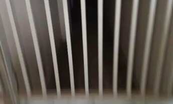 Imagem 5: GALPÃO PARA ALUGAR, 240 M² POR R$ 30.000,00 - CABANAGEM - BELÉM/PA