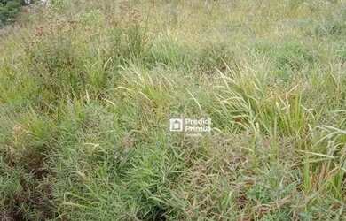 Imagem 2: Terreno à venda, 644 m² por R$ 220.000,00 - Suíço - Nova Friburgo/RJ